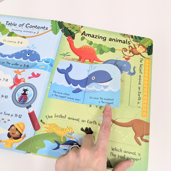 ⭐ My Big Book of Answers: Animals Flap Book⭐ - Picture 7 of 9